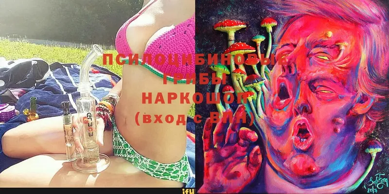 Галлюциногенные грибы Magic Shrooms  Жуковский 